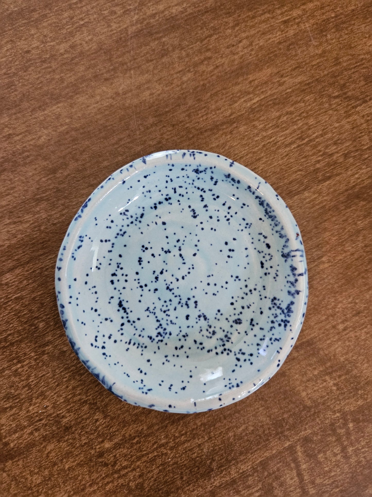 Blue Speckled Ring Dish